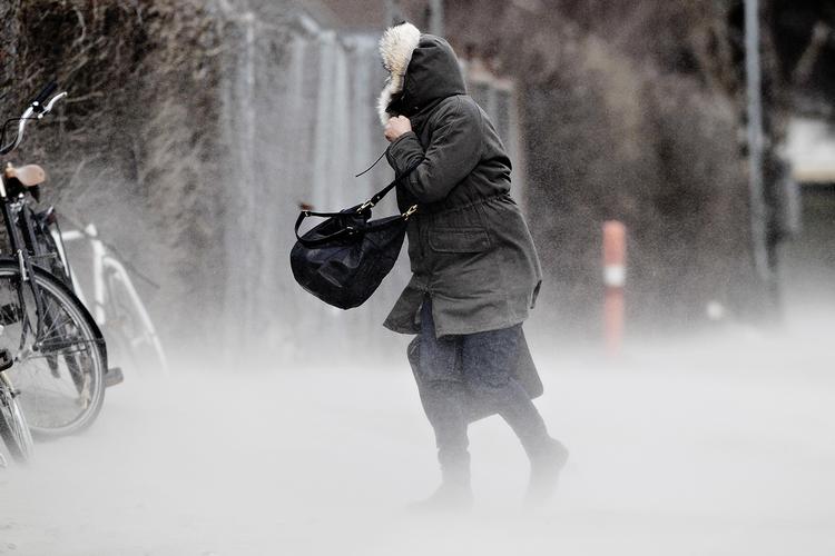 Snefri. Hvis din arbejdsplads selv vælger at holde lukket på grund af snestormen, er virksomheden dog forpligtet til at betale lønnen til medarbejdere, der får besked på at blive hjemme. 