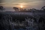 Bindende. Frosten varer ved i påsken, men dagene byder på masser af sol. 
