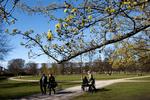 Varmere. Selv om foråret er på vej, kan der stadig komme sludbyger i Jylland søndag. 