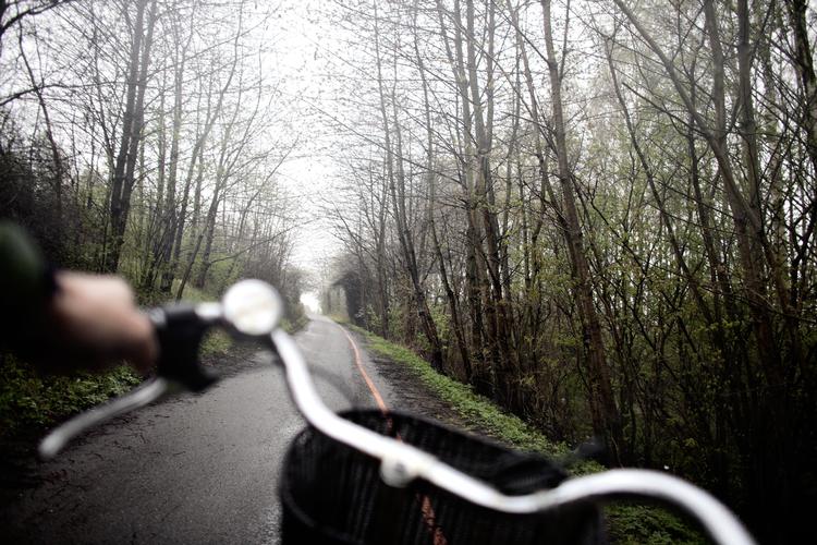 LOKKEMAD. Lige, lækre cykelsuperstier, som denne fra Albertslund til Vesterport, der åbnede i april sidste år, skal få bilisterne op på cyklerne. Ny sti åbner næste lørdag fra Farum. 