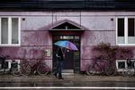 Forår. Ugen lægger ud med regn og blæst, men varme og forår er på vej lover DMI. 