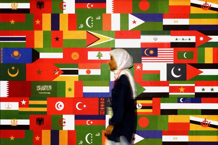 OIC MEMBERS FLAGS