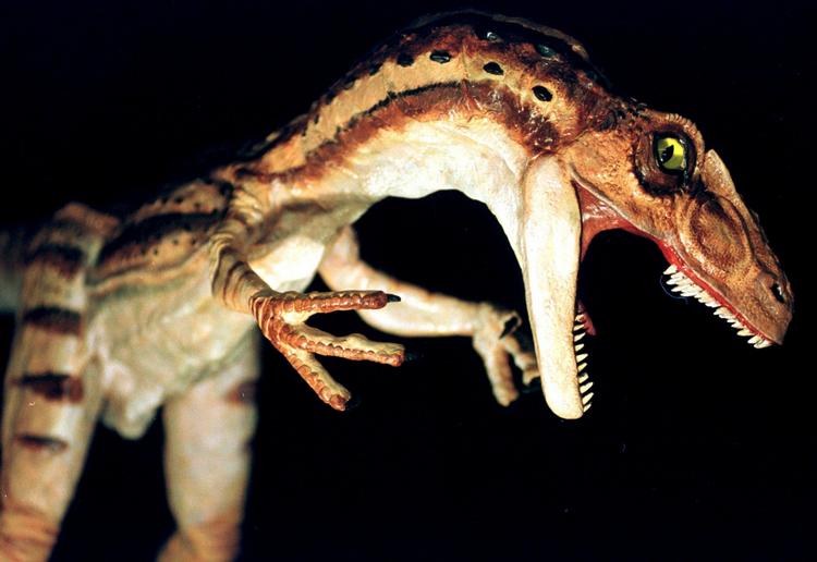 SVØMNING. Selv om dinosaurer havde små 'arme', viser det sig, at de sagtens kunne svømme længere distancer. 