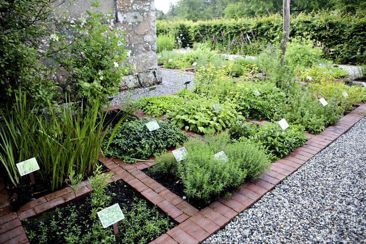 Smag. Både altanfolket og haveejerne dyrker kydderurter i stor stil. Lene Tvedegaards bog er et smukt eksempel på disciplinen at gå i dybden med et emne. 