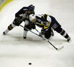 Succes. Mere end 20.000 tilskuere har forsøgt at få billet til årets gulddyst. 