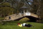 Sol. Vi når næppe meget højere op end 12 til 13 grader i både weekenden og den kommende uge, lover DMI. 