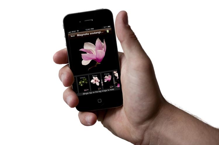 Bakteriebombe. Mobiltelefoner, tablets og computere er fulde af bakterier. Få hjælp til at holde dem rene. 