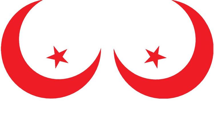 Kortlægning. Sex and the Citadel graver dybt i Mellemøstens forhold til sex. 