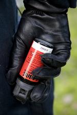 Magtanvendelse. Dansk politi bruger peberspray mere flittigt end deres norske kollegaer. 