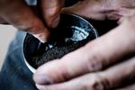 Forbudt. Tyggetobakken snus er forbudt i hele EU, bortset fra Sverige, hvor det bruges regelmæssigt. Sagen handler bl.a. om den svenske snusfabrikant, der gerne ville have forbuddet ophævet. 