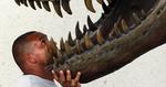 Sengepartner. På adskillige musseer verden over kan man tilbringe en nat - som f.eks. en tyrannosaurus rex 