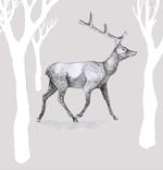 Vinder. Gadekunstneren Hyuro har vundet opgaven med at udsmykke hegnet langs Bella Center. Hyuro er argentiner bosat i Madrid. Følg linket nederst i artiklen for at se mere om idéen bag hendes vinderprojekt, 'In/Between'. 