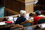 ÅRSMØDE. Annette Vilhelmsen (SF) skal i weekenden til sit første årsmøde som partiformand. 