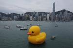Oversize. En 16 meter høj and af plastic kan lige nu opleves i Hong Kong, hvor den spreder bud om fred og fordragelighed. 