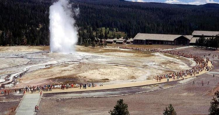 Rykind. Yellowstone er netop nu ved at gøre klar til turiststrømmen til sommer. Men der er udsigt til lidt ringere service til de besøgende. 