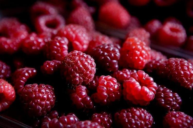 Påpasselighed. Gravide skal være særligt omhyggelige med at undgå rester efter insektgifte og andre pesticider i frugt, grønt og kornprodukter, for fostre har kun én chance for, at hjernen udvikler sig rigtigt. Insektgiftene er nogle af de stoffer, der er i fokus i Philippe Grandjeans  bog 'Only one chance', som udkommer i USA på tirsdag. 