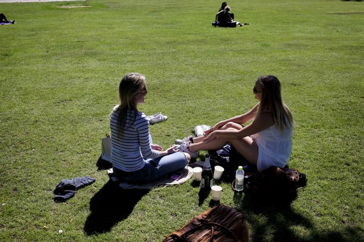 UDEFOBI. For danskere, der lider af birkepollenallergi, er det ikke lige anbefalelsesværdig at planlægge en picnic de kommende dage. (Arvivfoto) 