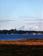 Mesterværk. Roskilde Domkirke, som den ser ud fra Veddelev. 