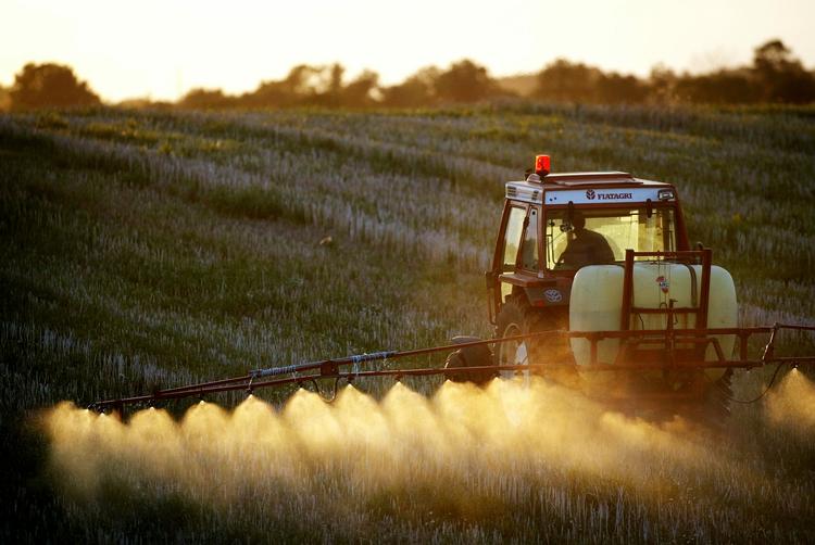OPBREMSNING. En række sprøjtemidler er allerede blevet forbudt i EU de seneste år, og det gør, at Fødevarekontrollen kan bremse varer, som indeholder rester efter de forbudte stoffer. 