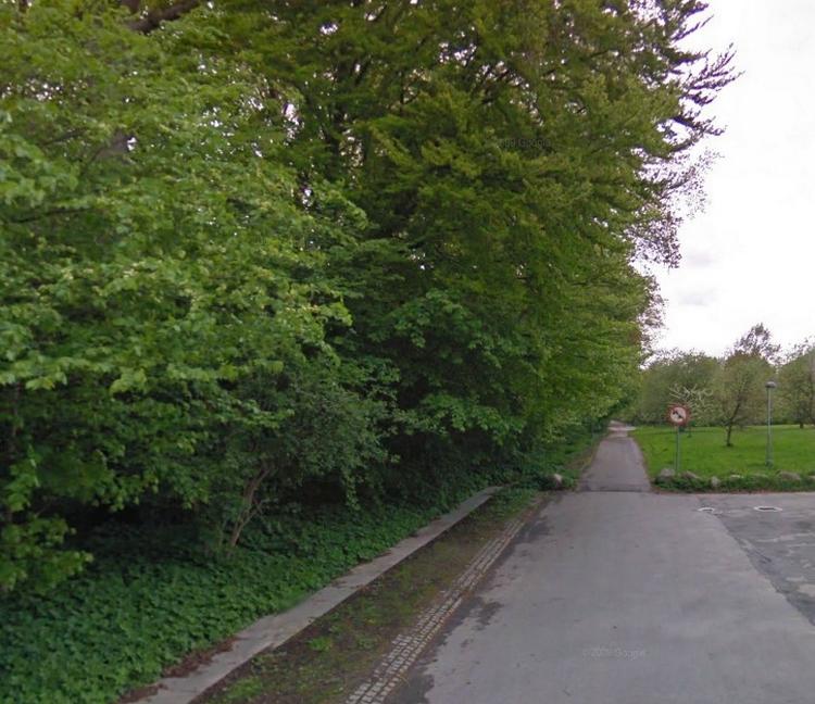Spædbarn. Det var under en busk i dette stisystem ved Dybedalsvej I Farum, at den nyfødte pige blev fundet. 
