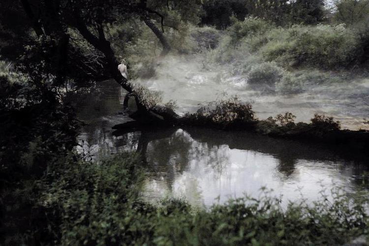 Mørke. Lyden og fotograferingen står stærkest i debutanten Leonardo Brezickis film 'Night'. 