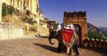 favorit. Amber Fort, der ligger tæt ved Jaipur i indiske Rajasthan, blev bygget over en 150 år lang periode. 