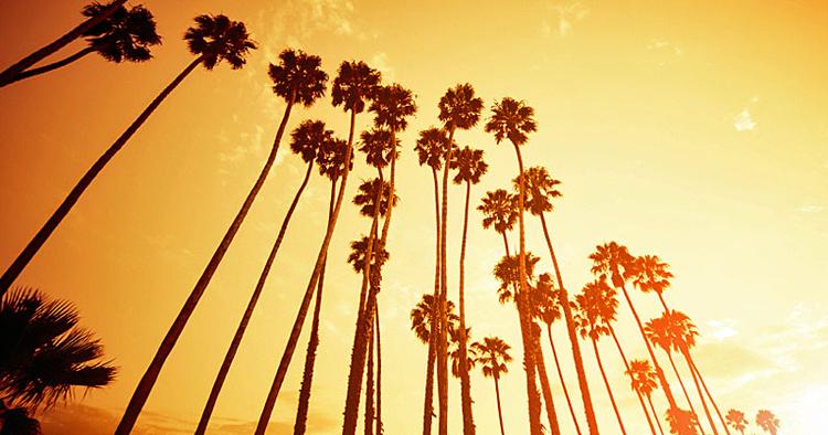 iStock_sunsetb_franckreport