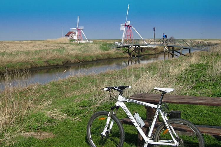 Cykel_web