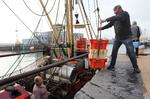 Fisk. Ny EU-reform vil gøre det ulovligt for fiskere at smide spisefisk tilbage i havet. 