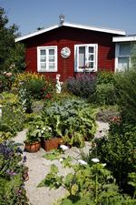 Kolonihave. Det skal nu være muligt, at sælge et kolonihavehus til under markedspris. 