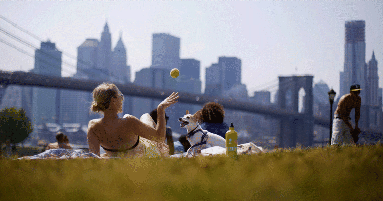 Eftertragtet. Netop nu er det muligt at finde ekstraordinært billige billetter til New York. 