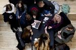 Lukket. Fra nu af skal man anmode om medlemskab, hvis man på Facebook-siden vil læse om danske gymnasieelevers daglige fadæser. 