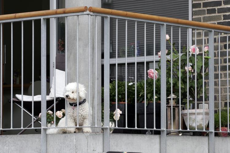 BILLIGST. En lejlighed, der er lige så meget værd som et hus, kan alligevel være billigere i boligskat. Og forskellen mellem hus og lejlighed bliver større i de kommende år på grund af højere vurderinger af grundværdierne. 