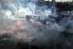 Turkey Protests