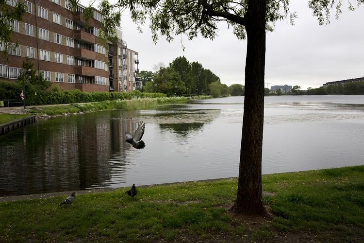Stank. Promenaden langs Sankt Jørgens Sø er et af de steder i København, hvor der  ses menneskelorte. 