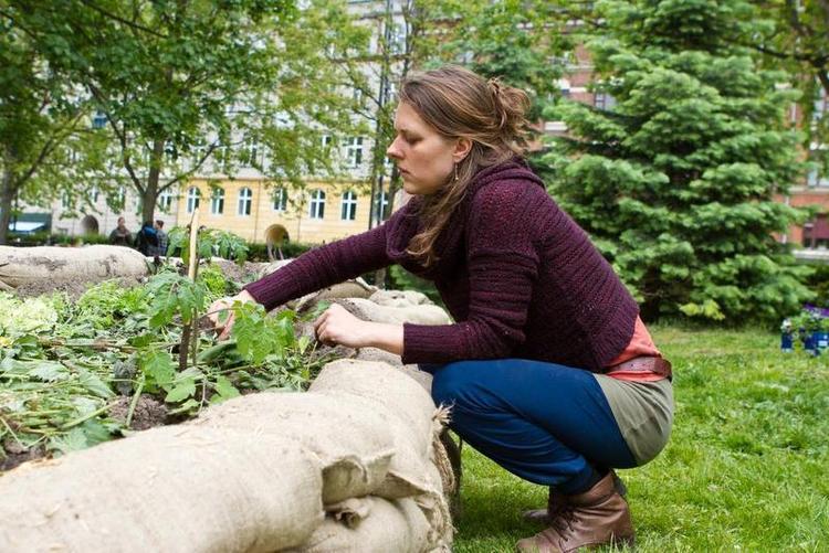 Storbygrønt. I Nørrebroparken i KØbenhavn har kommunen lånt et stykke af parken ud til en midlertidig storbyhave. 