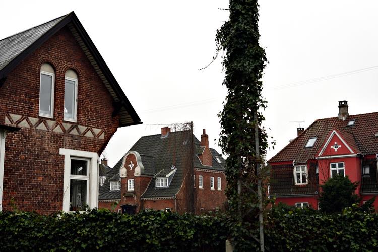 SKATTESTIGNING. Villaejere på Frederiksberg vil få den største stigning i den kommunale ejendomsskat næste år - og i de følgende år. 