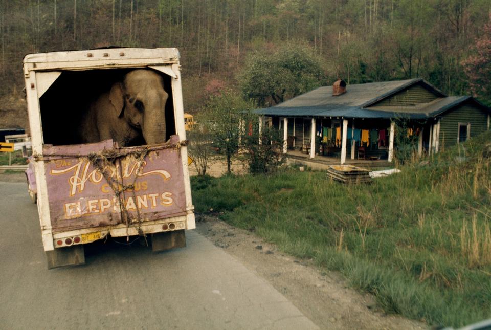National Geographic - Jonathan Blair