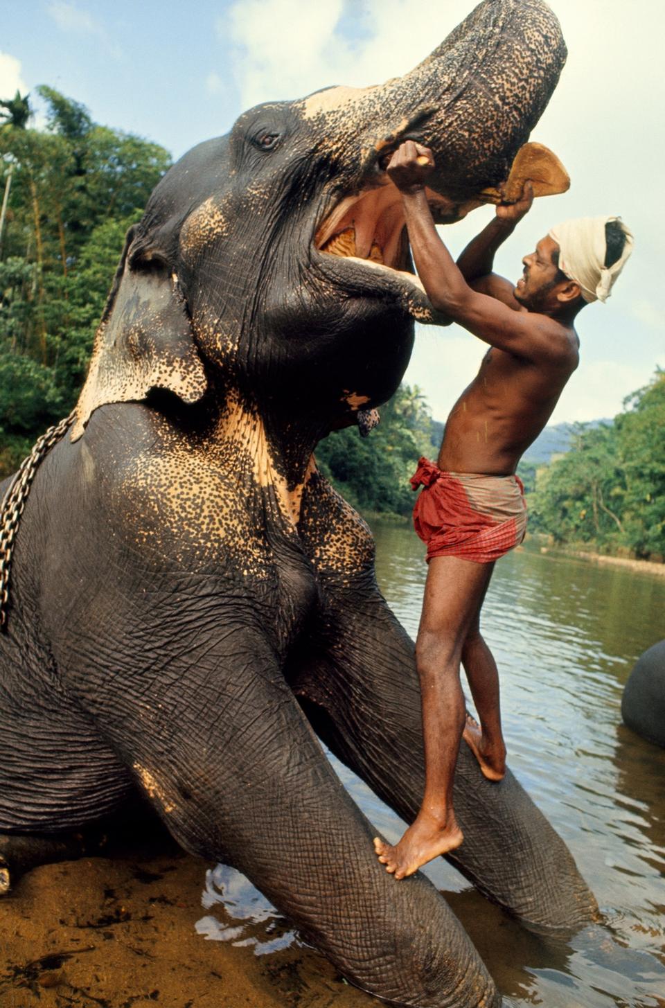 National Geographic - Gilbert M Grosvenor