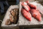 Uenighed. Hjerteforeningen synes ikke, Danskerne skal sætte deres fiskeforbrug ned , selvom at forskere sår tvivl om, om den våde spise kan give øget risiko for blodpropper i hjertet. 