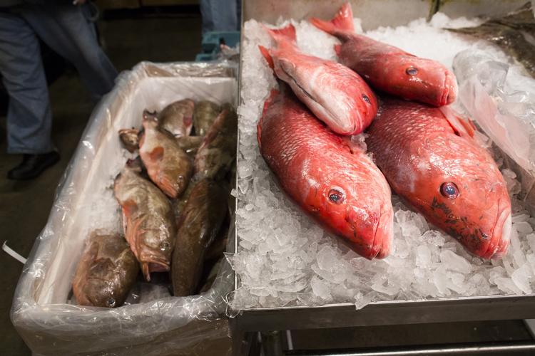 Uenighed. Hjerteforeningen synes ikke, Danskerne skal sætte deres fiskeforbrug ned , selvom at forskere sår tvivl om, om den våde spise kan give øget risiko for blodpropper i hjertet. 