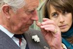 SKEPTISK. Prins Charles ser en lige linje fra fødevaregiganterne til fedmerelaterede sygdomme i Storbritannien og USA. 