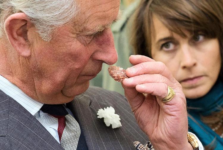 SKEPTISK. Prins Charles ser en lige linje fra fødevaregiganterne til fedmerelaterede sygdomme i Storbritannien og USA. 