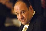 Gandolfini voksede op i Park Ridge, New Jersey. Han fik sit første gennembrud i filmen 'True Romance' fra 1993. 