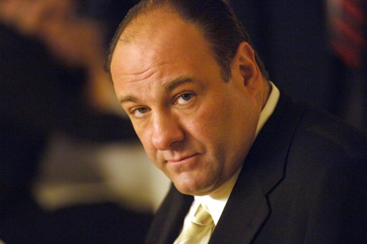 Gandolfini voksede op i Park Ridge, New Jersey. Han fik sit første gennembrud i filmen 'True Romance' fra 1993. 