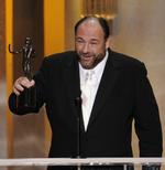 Emmy-prisvinder i 2008, da sidste sæson af 'The Sopranos' var løbet over skærmen. 