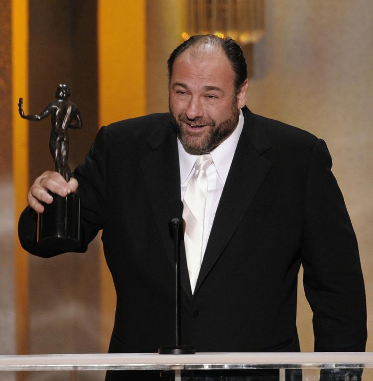 Emmy-prisvinder i 2008, da sidste sæson af 'The Sopranos' var løbet over skærmen. 