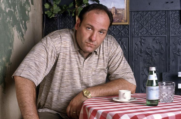 James Gandolfino døde onsdag i Rom under en ferierejse i selskab med  teenagesønnen fra sit første ægteskab, Michael. Dødsårsagen menes at være et hjerneanfald. 