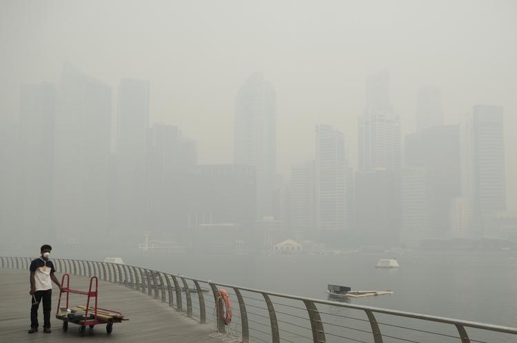SMOG. Forureningsniveauet er det højeste, der nogensinde er målt i Singapore. 