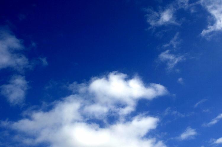 Inspiration. 'Min grønne himmel's udgangspunkt og en del elementer i bogen minder påfaldende om Per Pettersons ’Ud og stjæle heste’ 